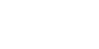 logo execut branco final